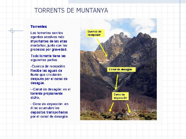 TORRENTS DE MUNTANYA 