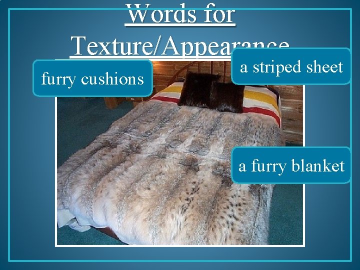 Words for Texture/Appearance furry cushions a striped sheet a furry blanket 