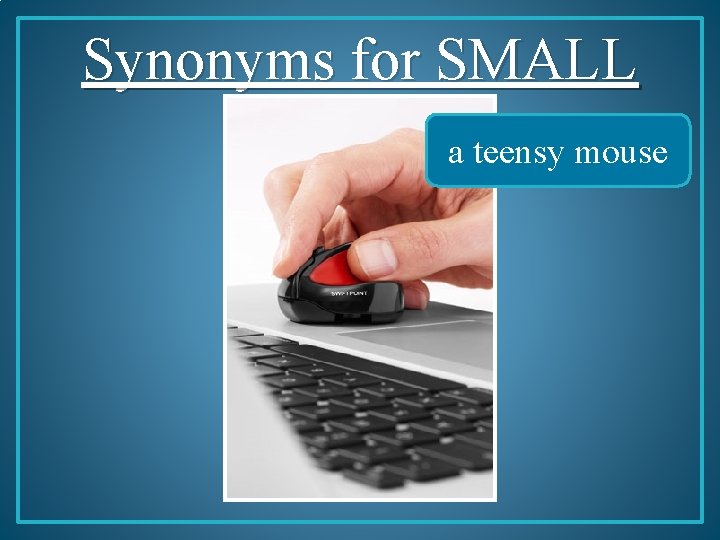 Synonyms for SMALL a teensy mouse 