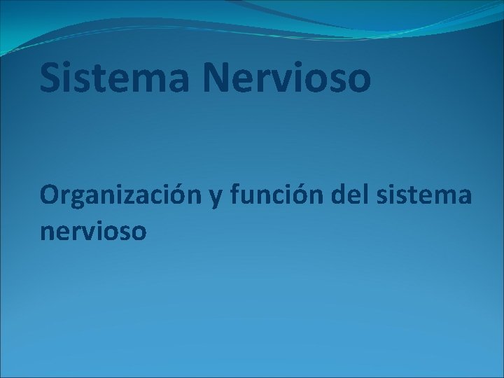 Sistema Nervioso Organización y función del sistema nervioso 