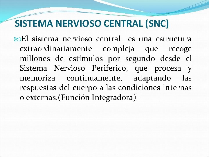 SISTEMA NERVIOSO CENTRAL (SNC) El sistema nervioso central es una estructura extraordinariamente compleja que