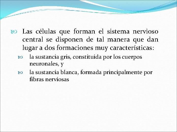  Las células que forman el sistema nervioso central se disponen de tal manera