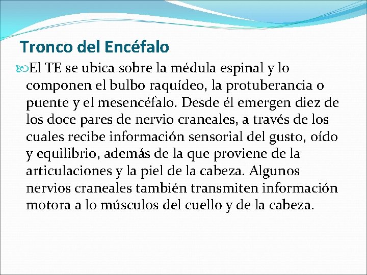 Tronco del Encéfalo El TE se ubica sobre la médula espinal y lo componen