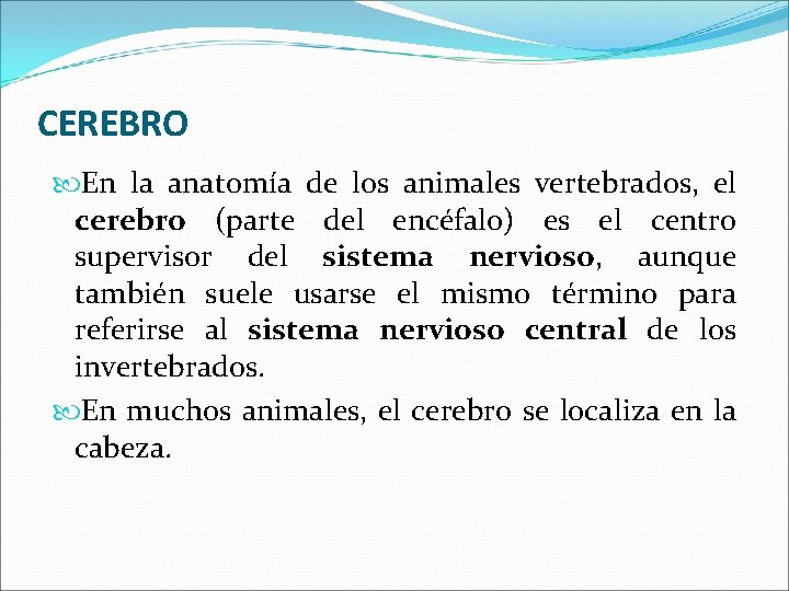 CEREBRO En la anatomía de los animales vertebrados, el cerebro (parte del encéfalo) es