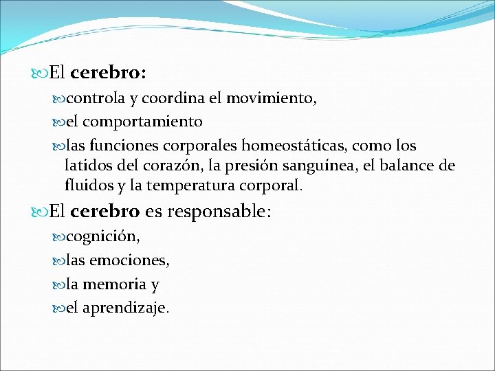  El cerebro: controla y coordina el movimiento, el comportamiento las funciones corporales homeostáticas,