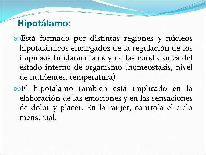 Hipotálamo: Está formado por distintas regiones y núcleos hipotalámicos encargados de la regulación de