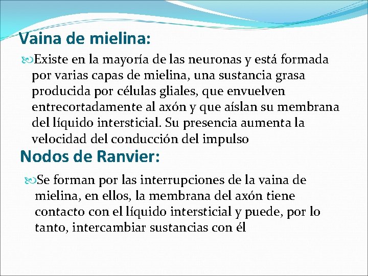 Vaina de mielina: Existe en la mayoría de las neuronas y está formada por