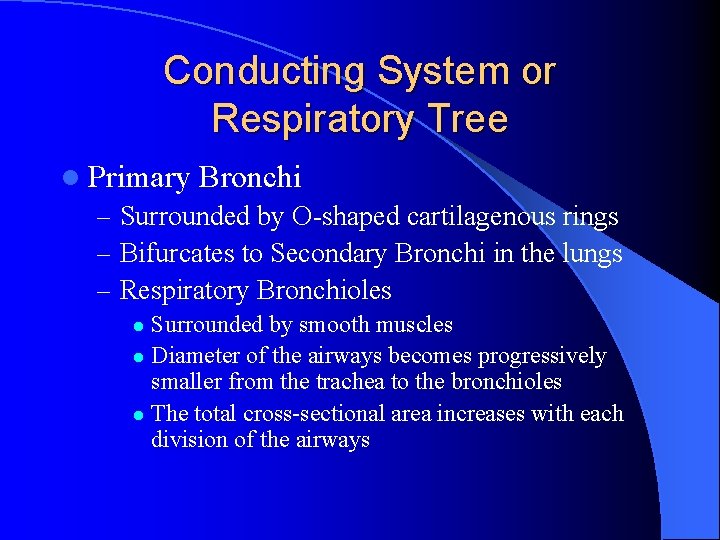 Conducting System or Respiratory Tree l Primary Bronchi – Surrounded by O-shaped cartilagenous rings Conducting System or Respiratory Tree l Primary Bronchi – Surrounded by O-shaped cartilagenous rings