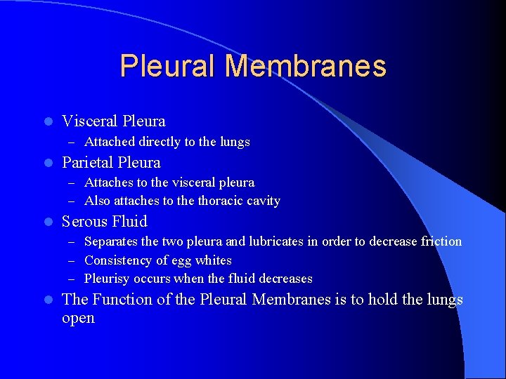 Pleural Membranes l Visceral Pleura – Attached directly to the lungs l Parietal Pleura