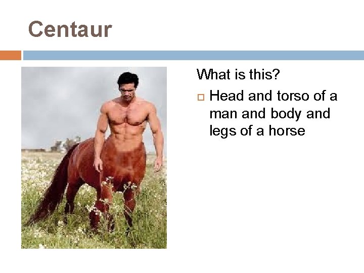 Centaur What is this? Head and torso of a man and body and legs