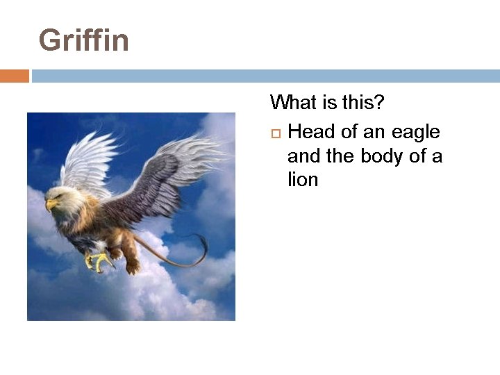 Griffin What is this? Head of an eagle and the body of a lion