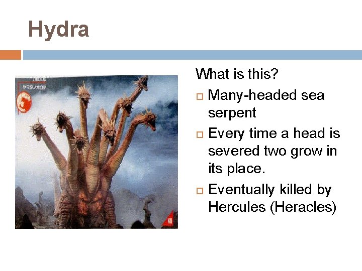 Hydra What is this? Many-headed sea serpent Every time a head is severed two