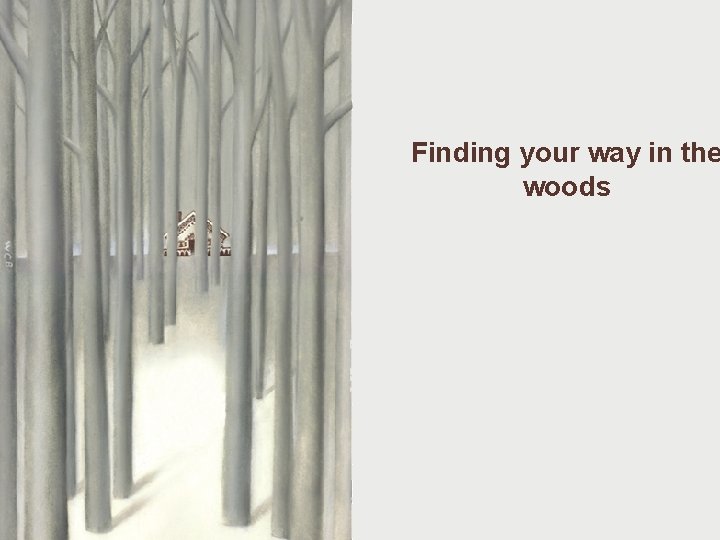 Finding your way in the woods Systematic Approaches to Literature Reviewing Dr. Mark Matthews
