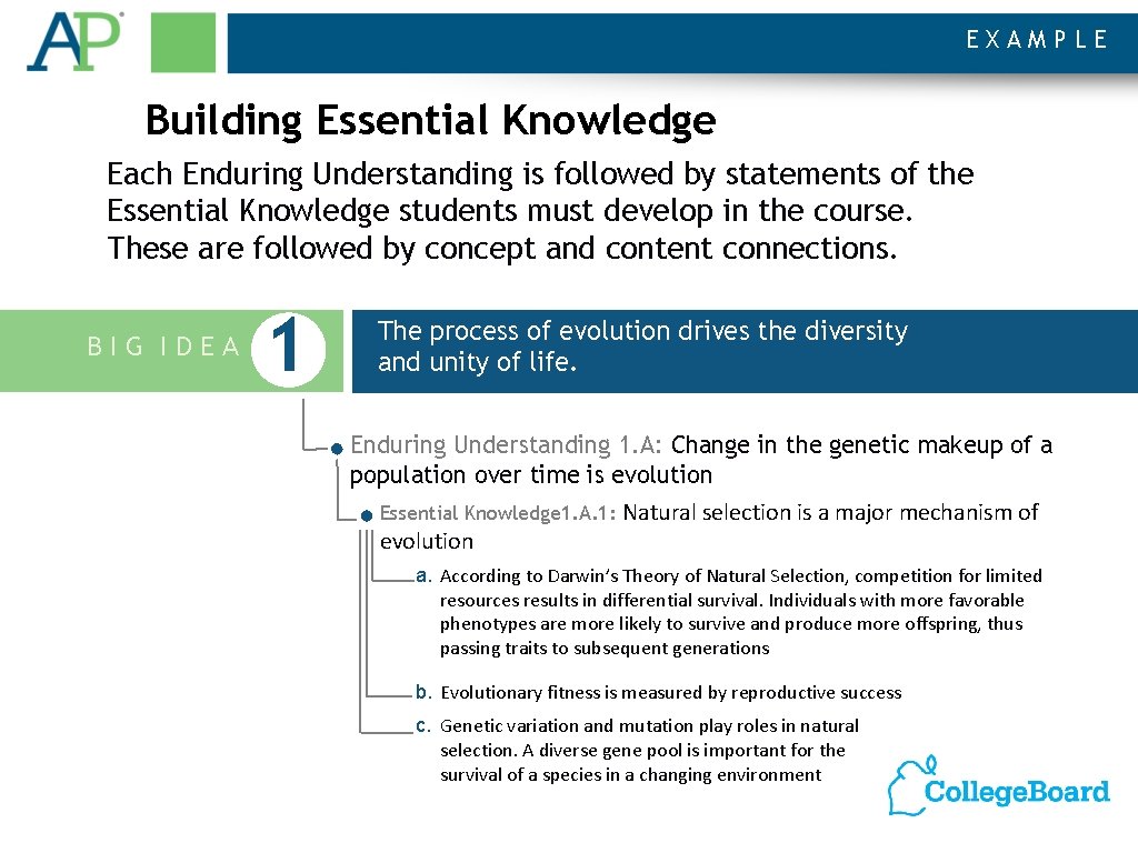 EXAMPLE Building Essential Knowledge Each Enduring Understanding is followed by statements of the Essential