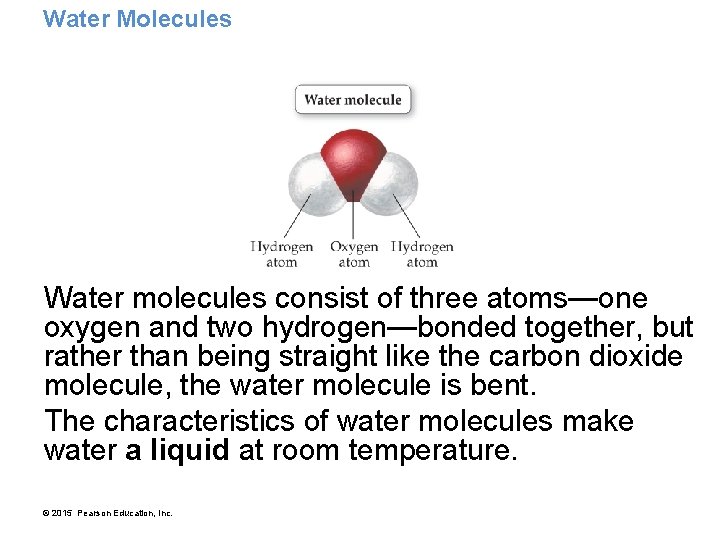 Water Molecules Water molecules consist of three atoms—one oxygen and two hydrogen—bonded together, but