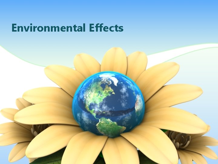 Environmental Effects 