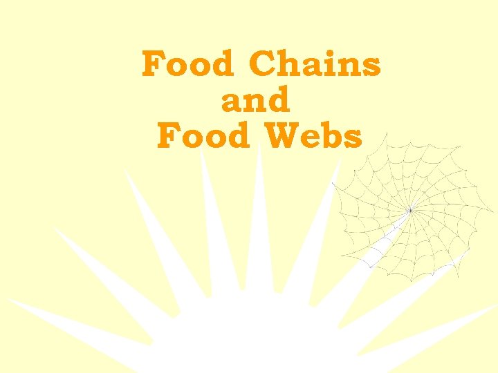 Food Chains and Food Webs 