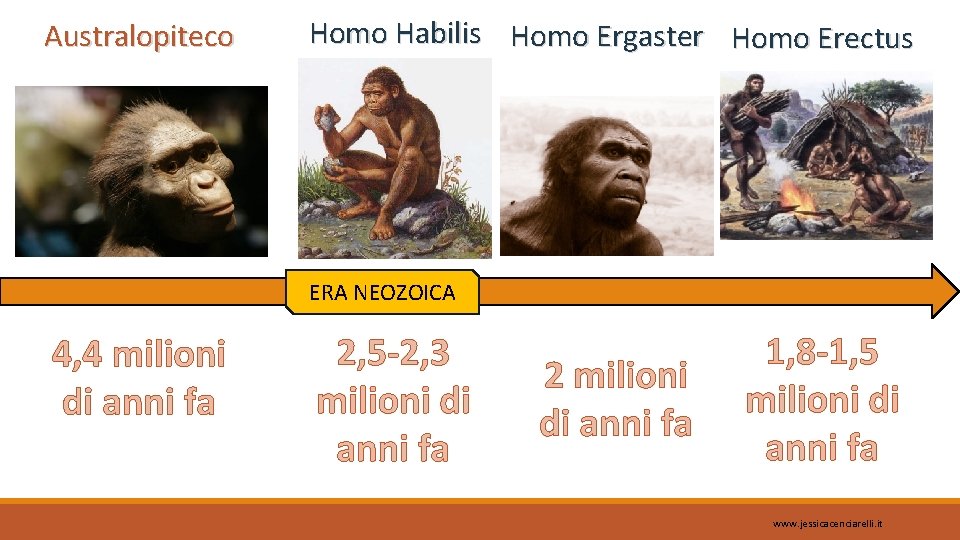 Australopiteco Homo Habilis Homo Ergaster Homo Erectus ERA NEOZOICA 4, 4 milioni di anni