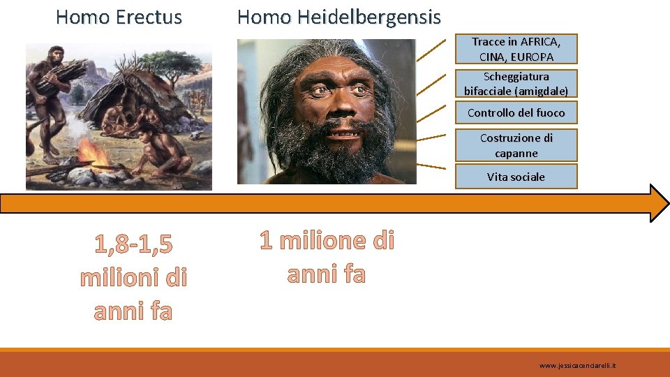 Homo Erectus Homo Heidelbergensis Tracce in AFRICA, CINA, EUROPA Scheggiatura bifacciale (amigdale) Controllo del