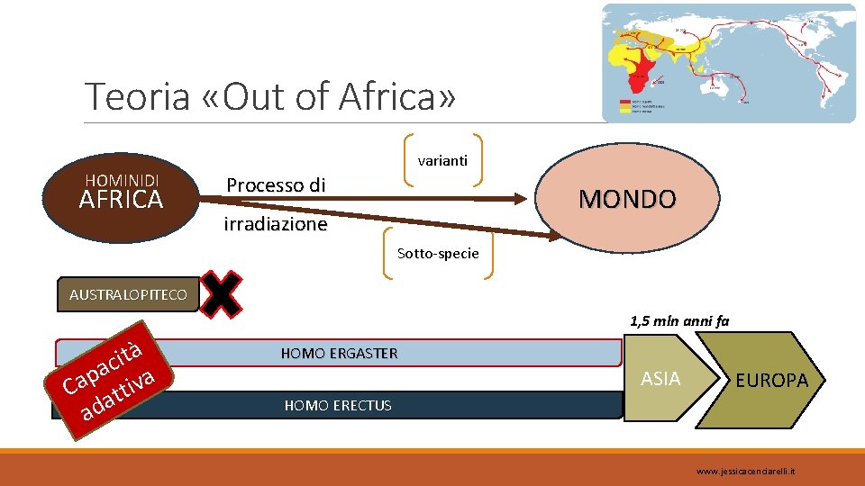 Teoria «Out of Africa» HOMINIDI AFRICA varianti Processo di MONDO irradiazione Sotto-specie AUSTRALOPITECO 1,