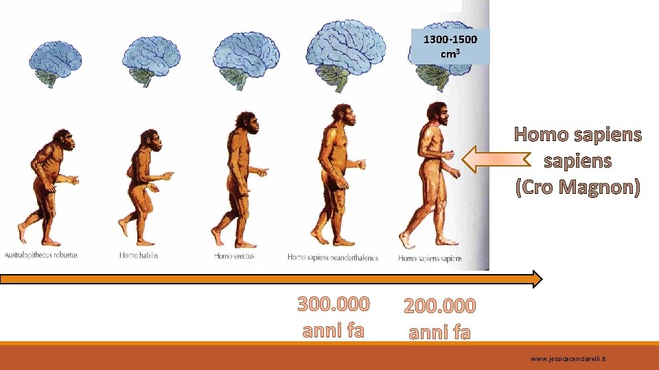 1300 -1500 cm 3 300. 000 anni fa 200. 000 anni fa www. jessicacenciarelli.