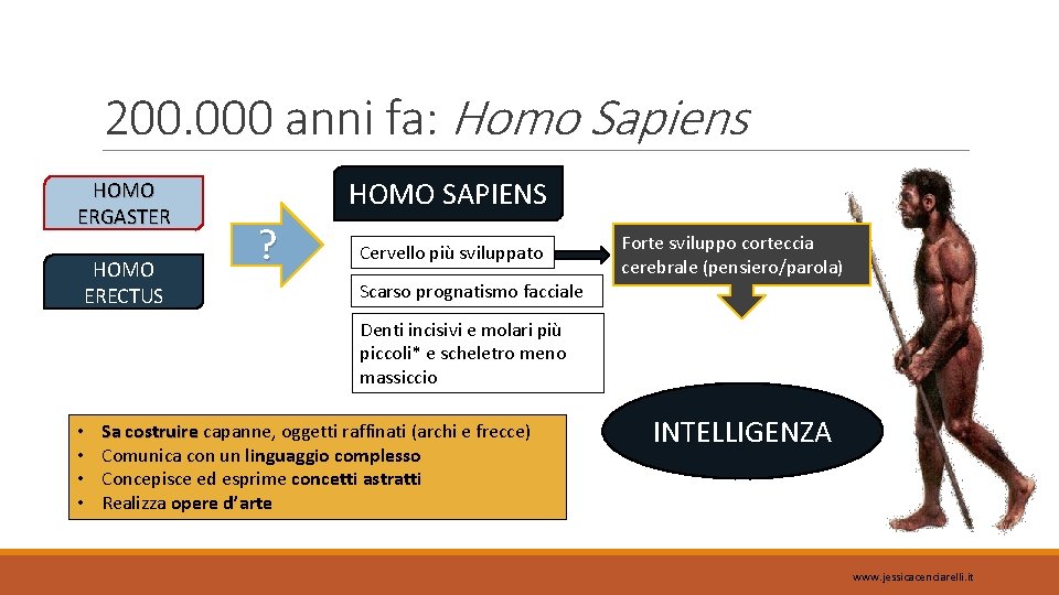 200. 000 anni fa: Homo Sapiens HOMO ERGASTER HOMO ERECTUS HOMO SAPIENS ? Cervello