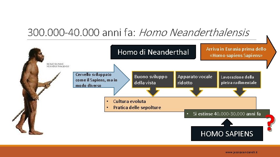 300. 000 -40. 000 anni fa: Homo Neanderthalensis Homo di Neanderthal Cervello sviluppato come