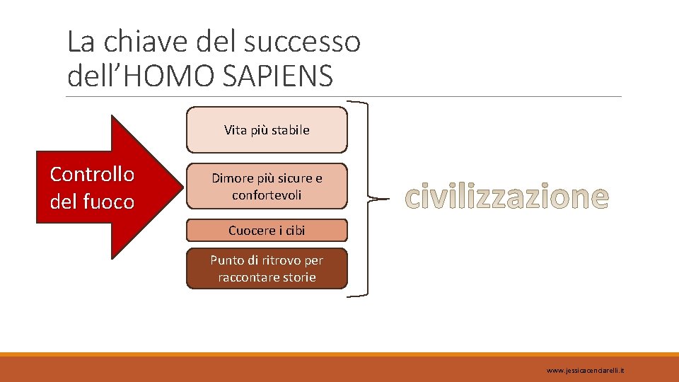 La chiave del successo dell’HOMO SAPIENS Vita più stabile Controllo del fuoco Dimore più