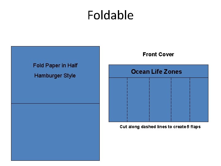 Foldable Front Cover Fold Paper in Half Hamburger Style Ocean Life Zones Cut along