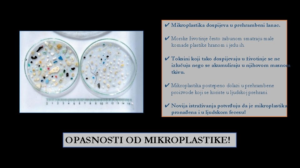 ✔ Mikroplastika dospijeva u prehrambeni lanac. ✔ Morske životinje često zabunom smatraju male komade