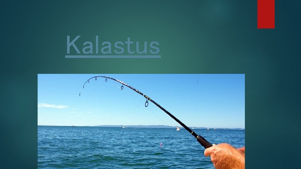 Kalastus 