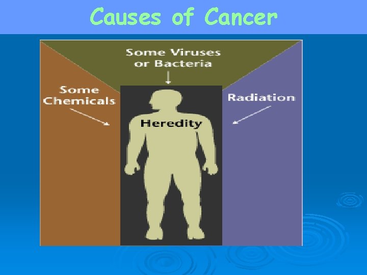 Causes of Cancer 