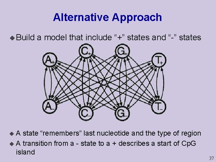 Alternative Approach u Build a model that include “+” states and “-” states A