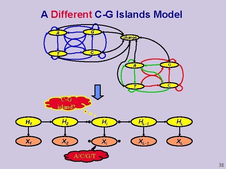 A Different C-G Islands Model G A change C T A G T C