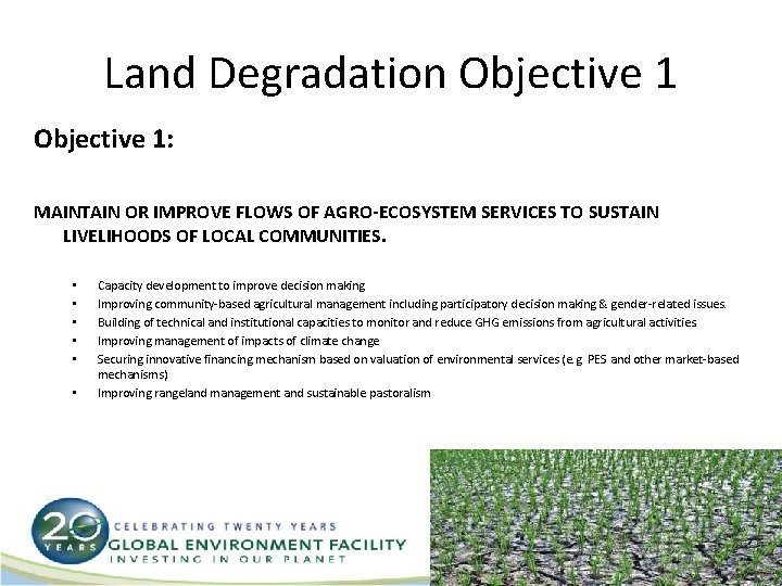 Focal Area and Cross Cutting Strategies Land Degradation