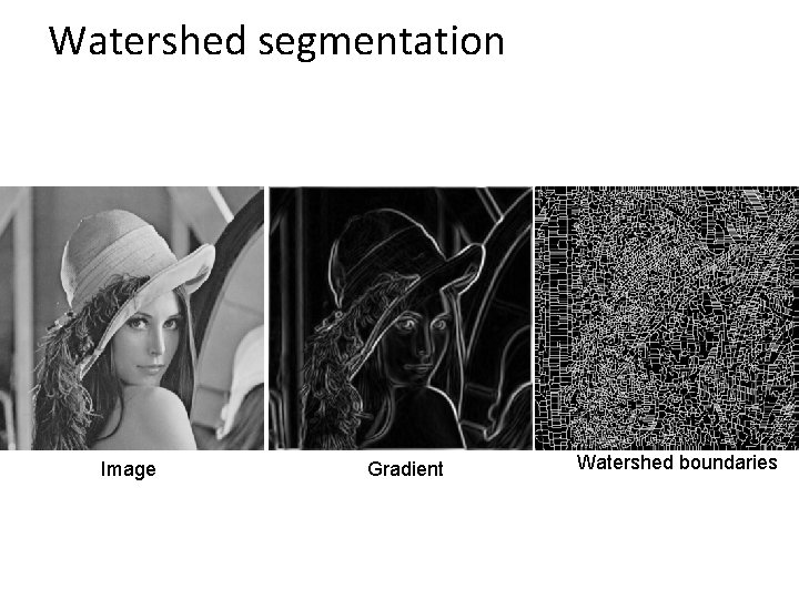 Watershed segmentation Image Gradient Watershed boundaries 