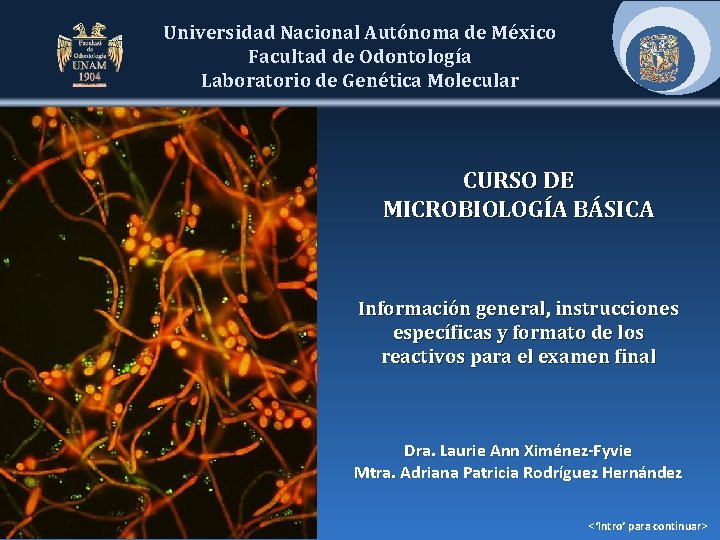Universidad Nacional Autónoma de México Facultad de Odontología Laboratorio de Genética Molecular CURSO DE