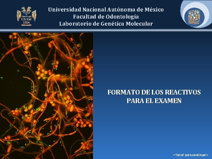 Universidad Nacional Autónoma de México Facultad de Odontología Laboratorio de Genética Molecular FORMATO DE