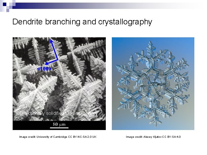 Dendrite branching and crystallography <100> Directionally solidified Co-Sm-Cu alloy Image credit: University of Cambridge