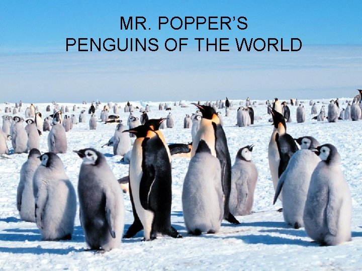 MR. POPPER’S PENGUINS OF THE WORLD Mr. Popper’s PENGUINS 