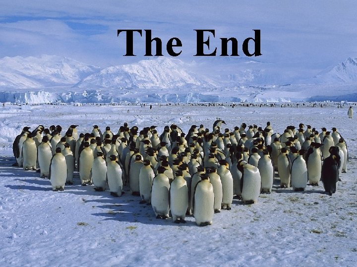 The End 