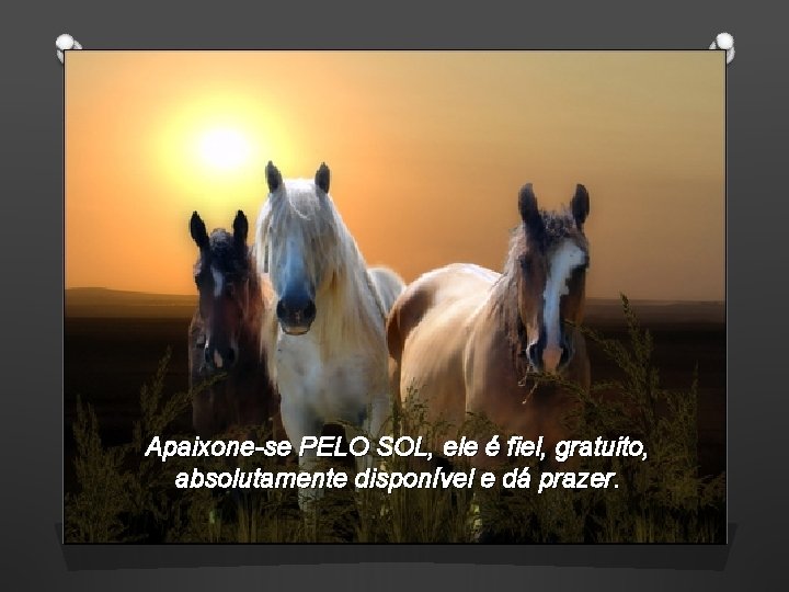 Apaixone-se PELO SOL, ele é fiel, gratuito, absolutamente disponível e dá prazer. 