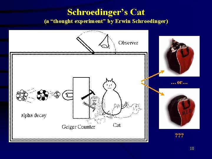 Schroedinger’s Cat (a “thought experiment” by Erwin Schroedinger) …or… . P. I. R ?