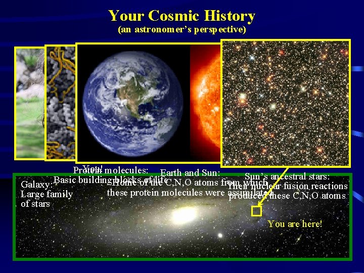 Your Cosmic History (an astronomer’s perspective) You! molecules: Earth and Sun: Protein Sun’s ancestral