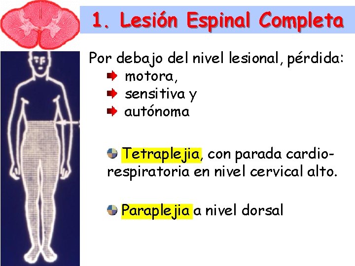 1. Lesión Espinal Completa Por debajo del nivel lesional, pérdida: motora, sensitiva y autónoma