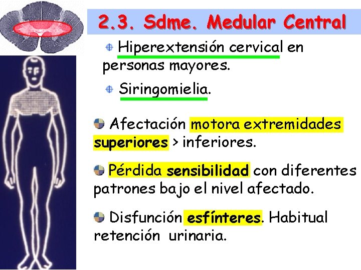2. 3. Sdme. Medular Central Hiperextensión cervical en personas mayores. Siringomielia. Afectación motora extremidades