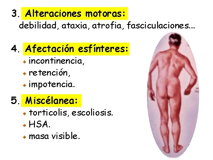 3. Alteraciones motoras: debilidad, ataxia, atrofia, fasciculaciones. . . 4. Afectación esfínteres: incontinencia, retención,