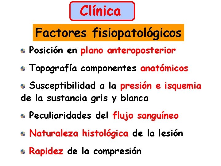 Clínica Factores fisiopatológicos Posición en plano anteroposterior Topografía componentes anatómicos Susceptibilidad a la presión
