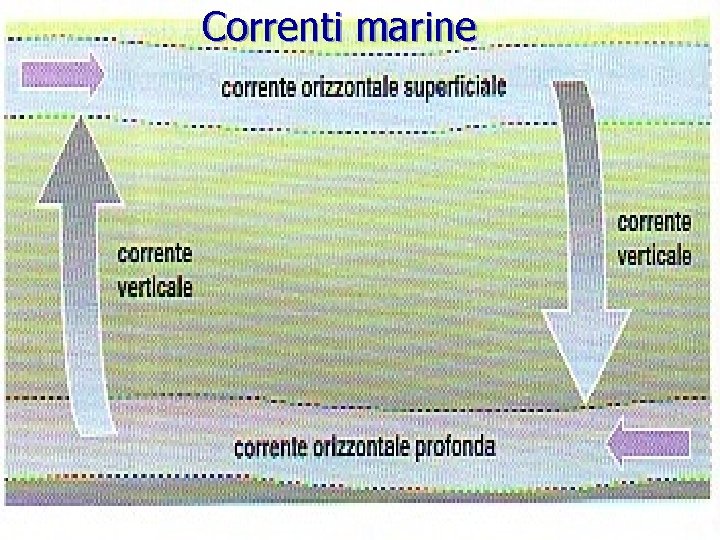 Correnti marine prof. Filippo QUITADAMO 130 