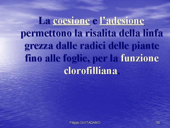 La coesione e l’adesione permettono la risalita della linfa grezza dalle radici delle piante